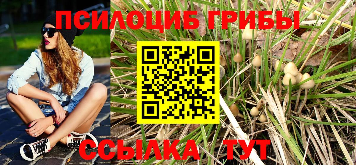 Псилоцибиновые грибы прущие грибы  Галлюциногенные грибы мицелий  Знаменск  Вход с VPN 