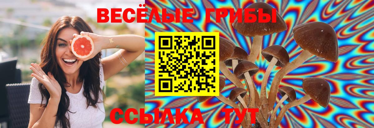 Галлюциногенные грибы ЛСД Знаменск